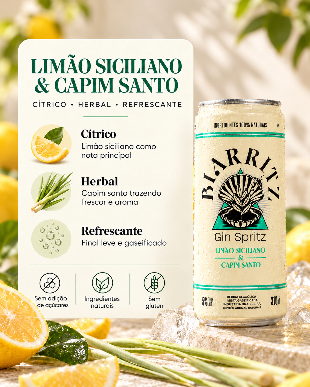 Pack 6 Latas | Misto 2 Sabores